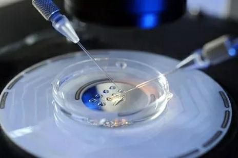 实验室3